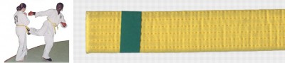 Ceinture jaune barre verte